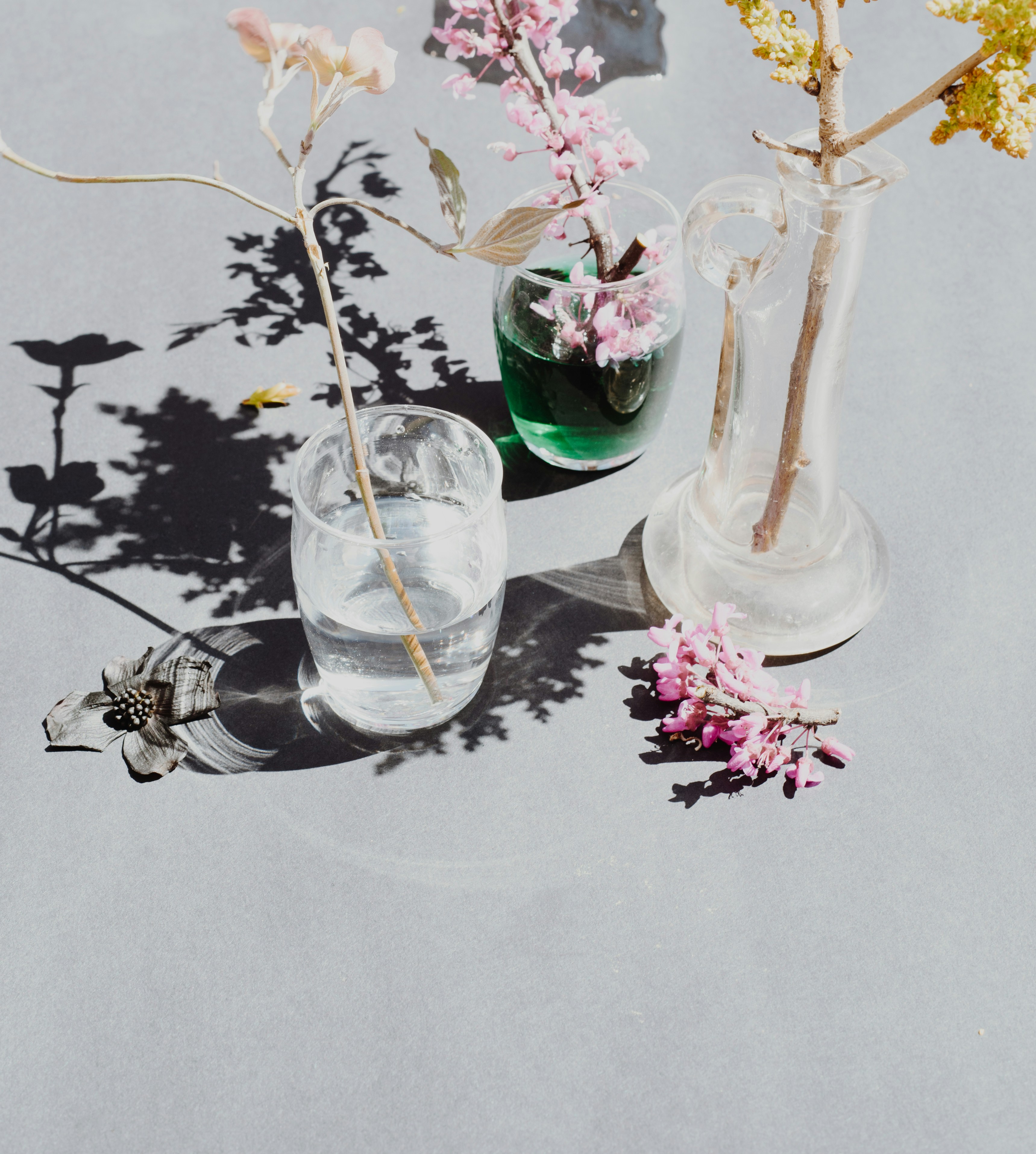 Pressed flowers in glass tumblers, a soft still-life